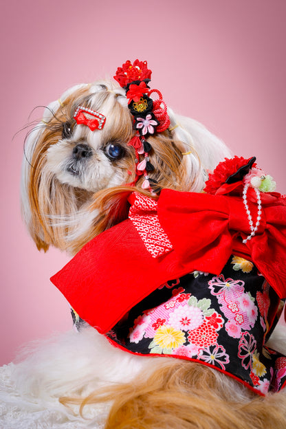 【大阪府大阪市】CUUN撮影会＆表紙モデルオーディション｜プロカメラマン撮影・雑誌掲載チャンス【2026年1月31日（土）～2月1日（日）開催】