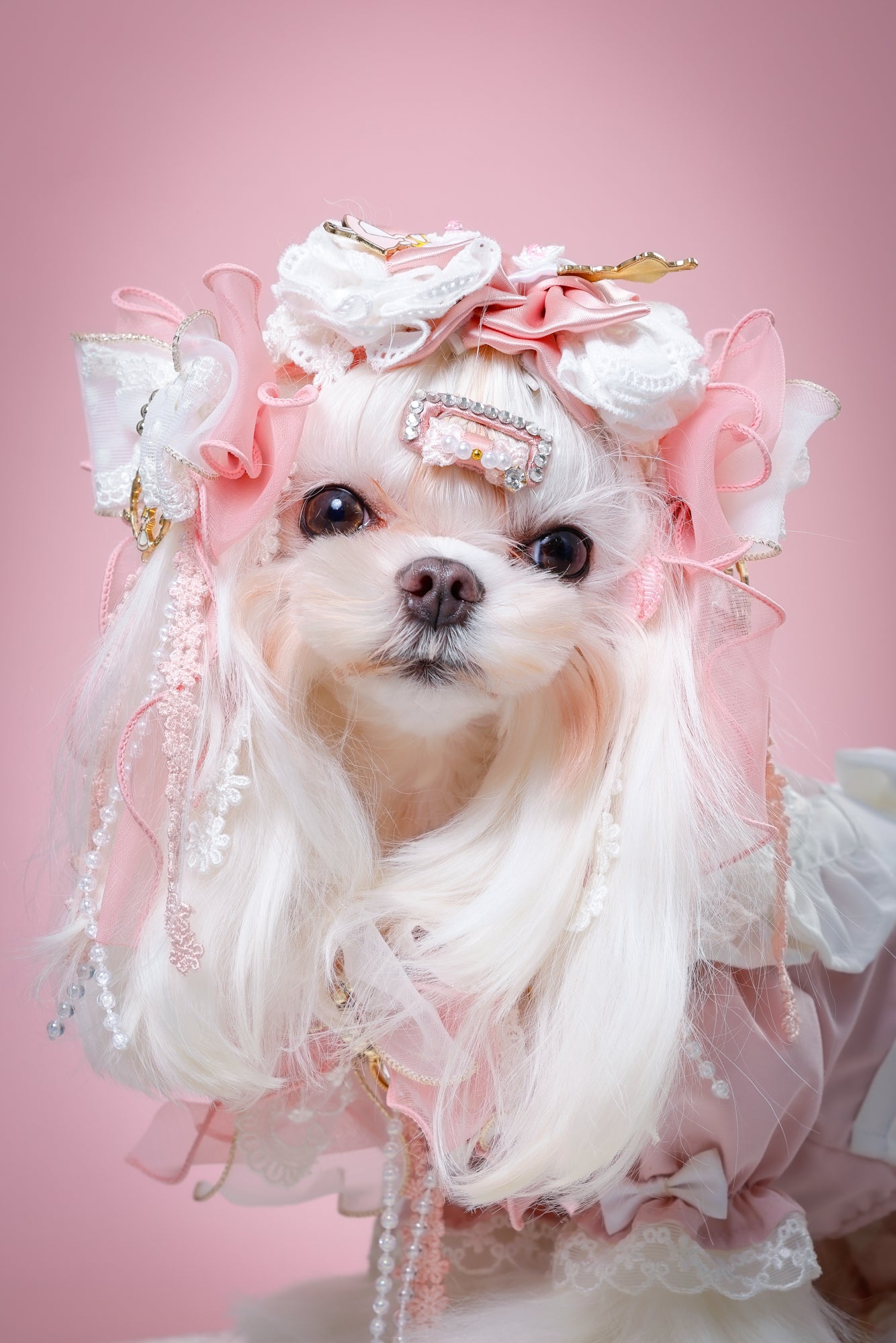 【大阪府大阪市】CUUN撮影会＆表紙モデルオーディション｜プロカメラマン撮影・雑誌掲載チャンス【2026年1月31日（土）～2月1日（日）開催】