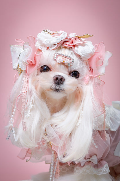 【大阪府大阪市】CUUN撮影会＆表紙モデルオーディション｜プロカメラマン撮影・雑誌掲載チャンス【2026年1月31日（土）～2月1日（日）開催】