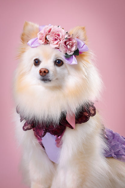 【大阪府大阪市】CUUN撮影会＆表紙モデルオーディション｜プロカメラマン撮影・雑誌掲載チャンス【2026年1月31日（土）～2月1日（日）開催】