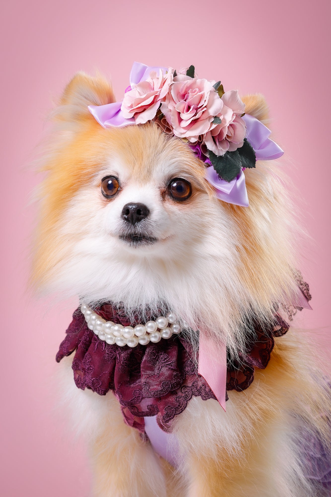 【大阪府大阪市】CUUN撮影会＆表紙モデルオーディション｜プロカメラマン撮影・雑誌掲載チャンス【2026年1月31日（土）～2月1日（日）開催】