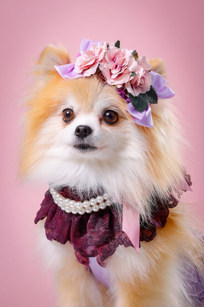 【大阪府大阪市】CUUN撮影会＆表紙モデルオーディション｜プロカメラマン撮影・雑誌掲載チャンス【2026年1月31日（土）～2月1日（日）開催】