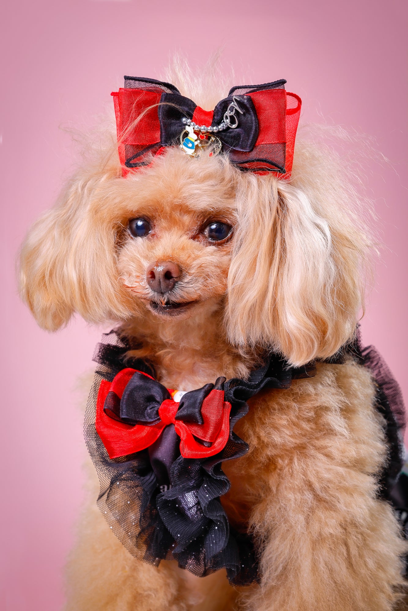 【大阪府大阪市】CUUN撮影会＆表紙モデルオーディション｜プロカメラマン撮影・雑誌掲載チャンス【2026年1月31日（土）～2月1日（日）開催】