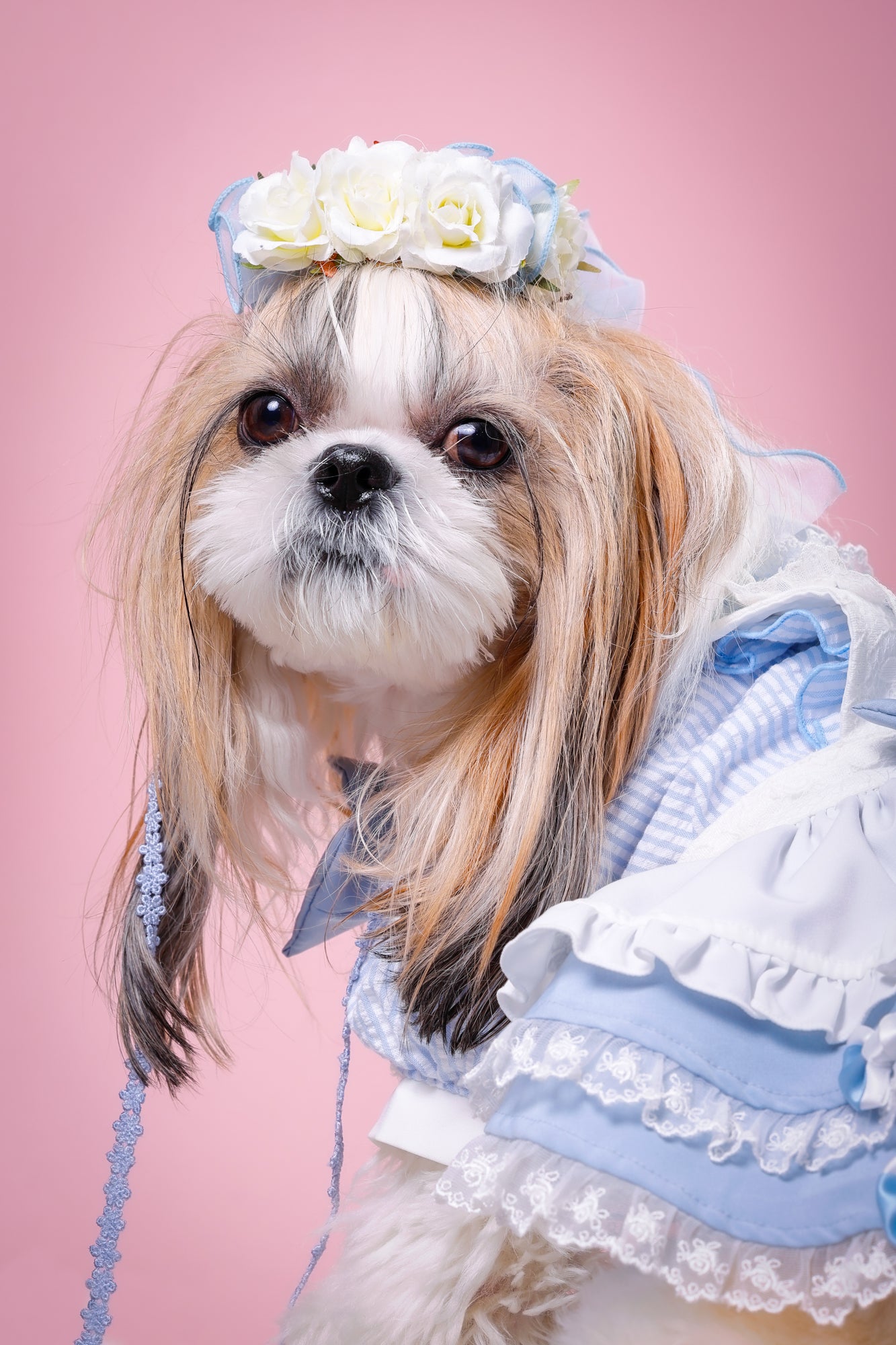 【大阪府大阪市】CUUN撮影会＆表紙モデルオーディション｜プロカメラマン撮影・雑誌掲載チャンス【2026年1月31日（土）～2月1日（日）開催】