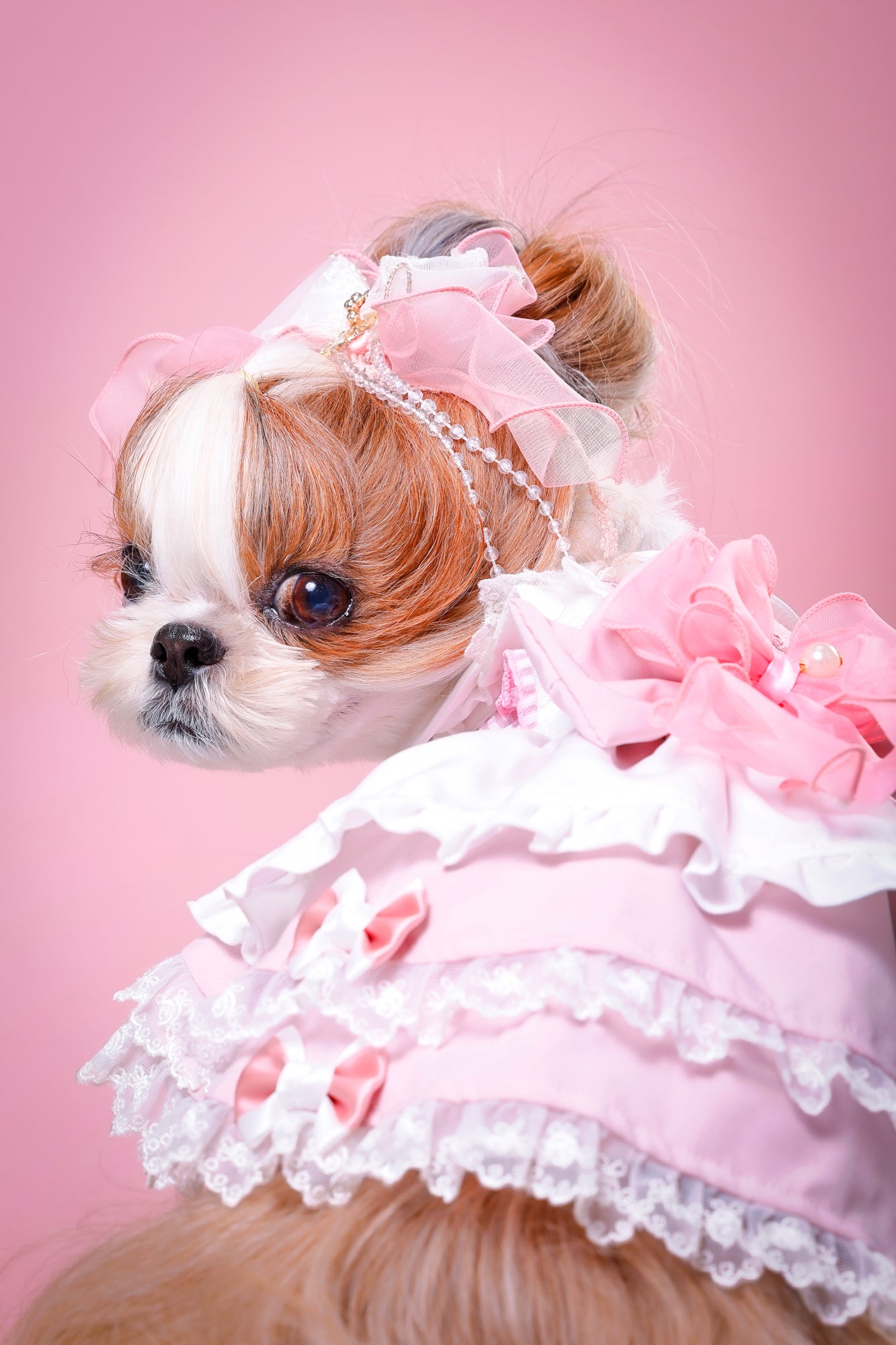 【大阪府大阪市】CUUN撮影会＆表紙モデルオーディション｜プロカメラマン撮影・雑誌掲載チャンス【2026年1月31日（土）～2月1日（日）開催】