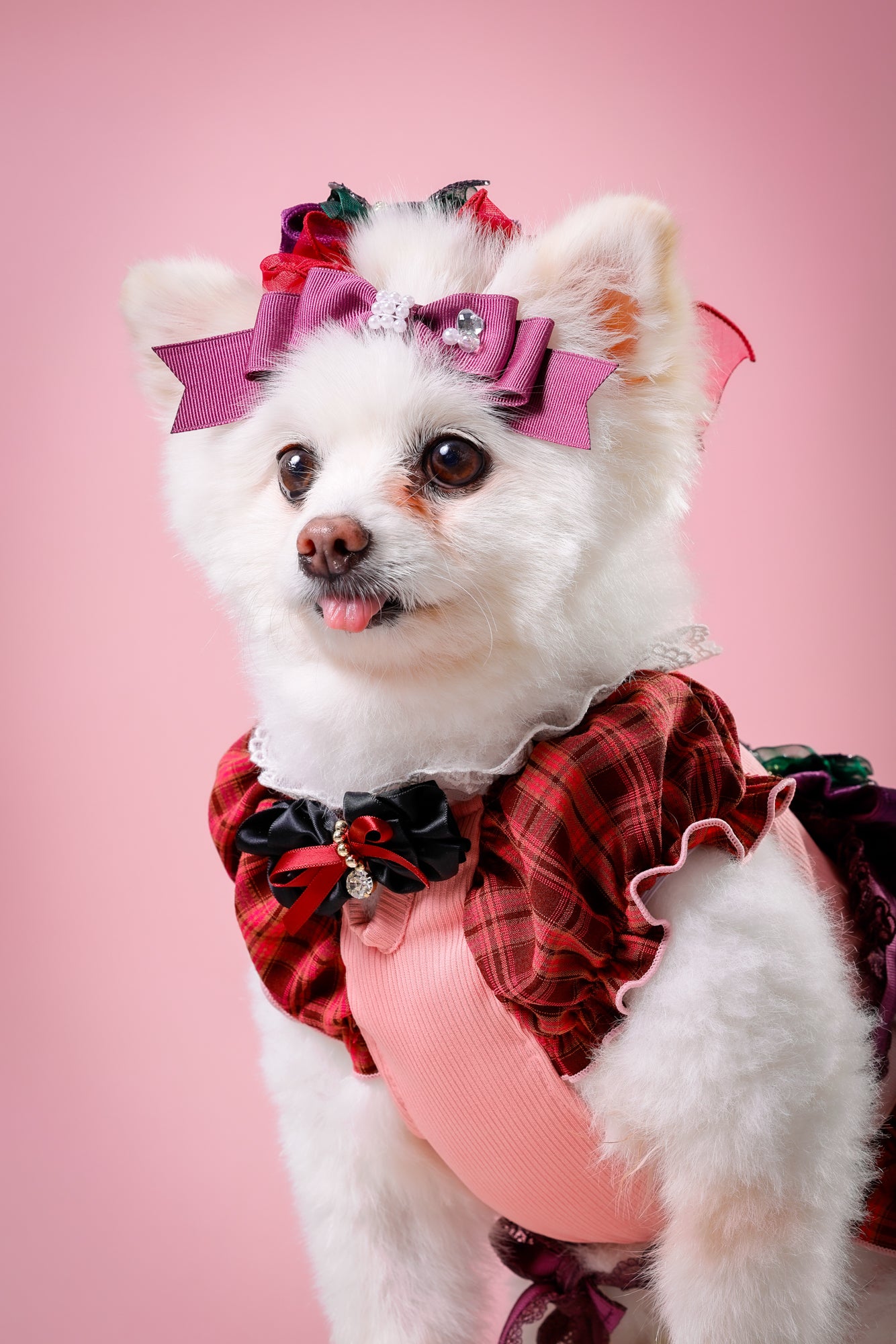 【大阪府大阪市】CUUN撮影会＆表紙モデルオーディション｜プロカメラマン撮影・雑誌掲載チャンス【2026年1月31日（土）～2月1日（日）開催】