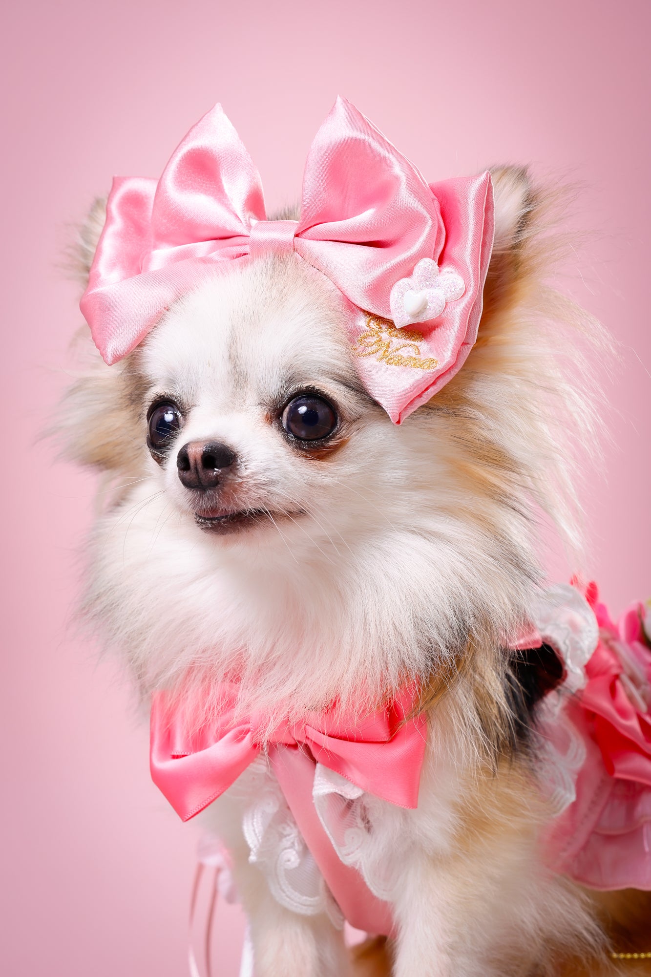 【大阪府大阪市】CUUN撮影会＆表紙モデルオーディション｜プロカメラマン撮影・雑誌掲載チャンス【2026年1月31日（土）～2月1日（日）開催】