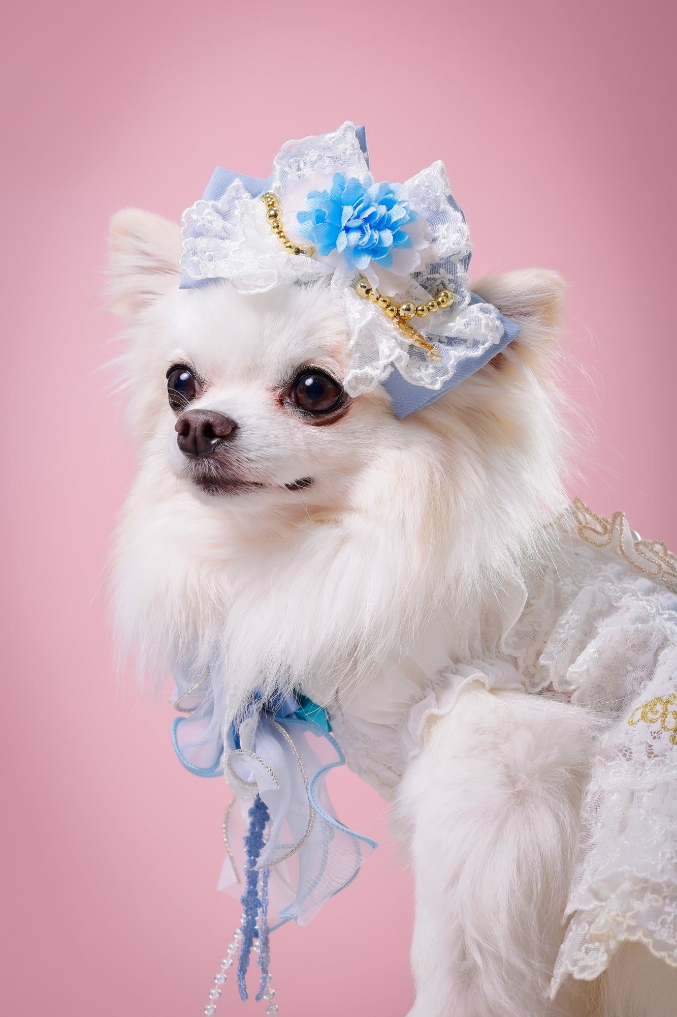 【大阪府大阪市】CUUN撮影会＆表紙モデルオーディション｜プロカメラマン撮影・雑誌掲載チャンス【2026年1月31日（土）～2月1日（日）開催】