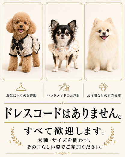 【群馬県みなかみ町】CUUN撮影会＆表紙モデルオーディション｜プロカメラマン撮影・雑誌掲載チャンス【2026年10月10日（土）～10月11日（日）開催】