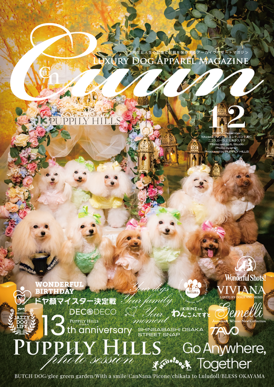 CUUN｜12月10日号（2025）