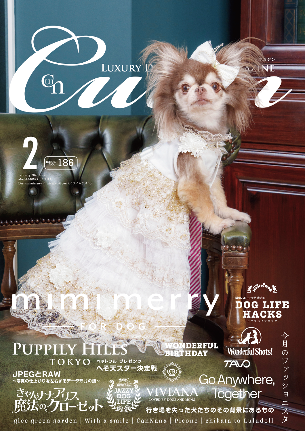 CUUN｜2月10日号（2026）