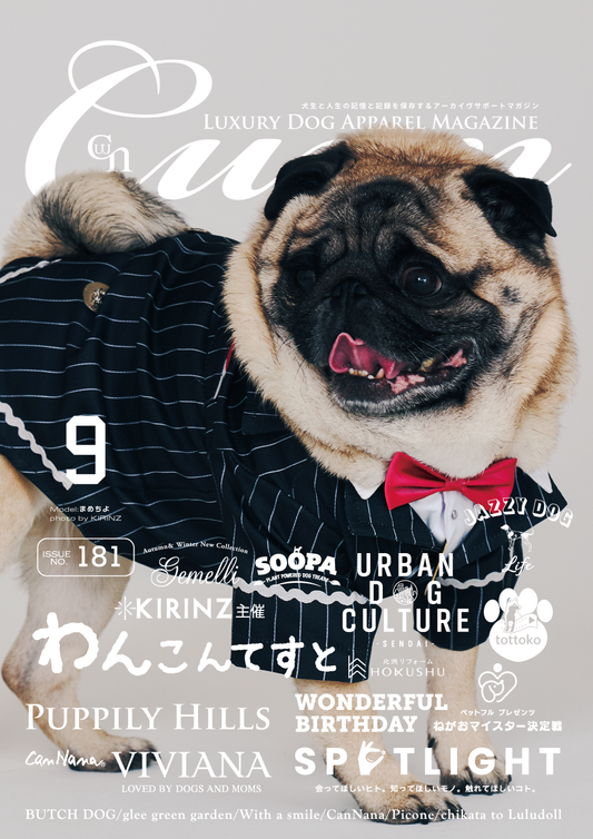 CUUN｜9月10日号（2025）