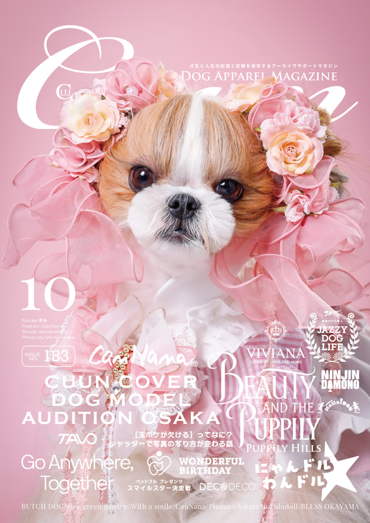 CUUN｜10月10日号（2025）