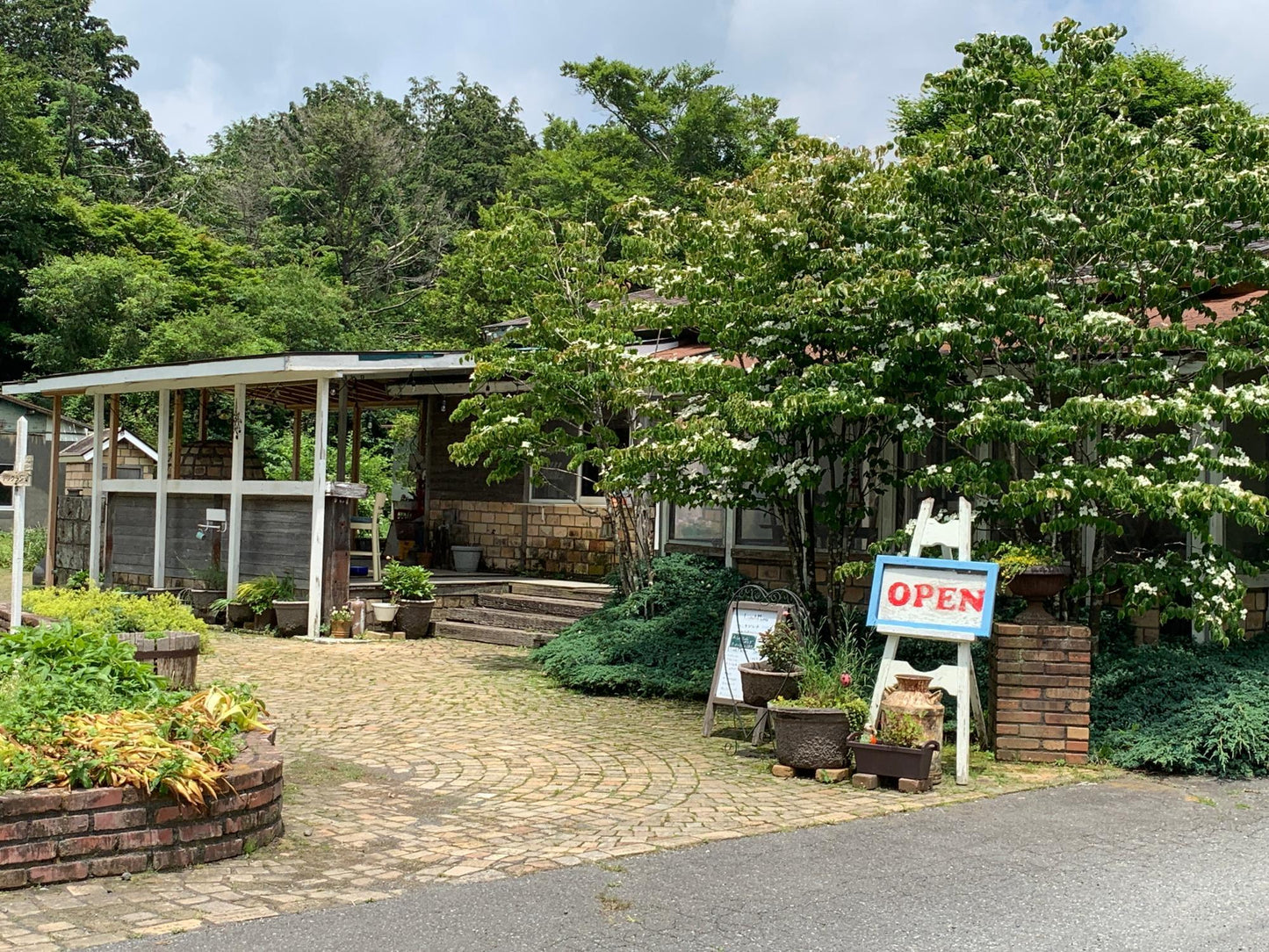 【2026年5月30日-31日】愛犬と遠足｜富士山×朝霧高原｜家族で過ごす1日体験（CUUN）