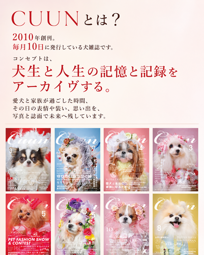 【山口県岩国市】CUUN撮影会＆表紙モデルオーディション｜プロカメラマン撮影・雑誌掲載チャンス【2026年9月12日（土）～9月13日（日）開催】
