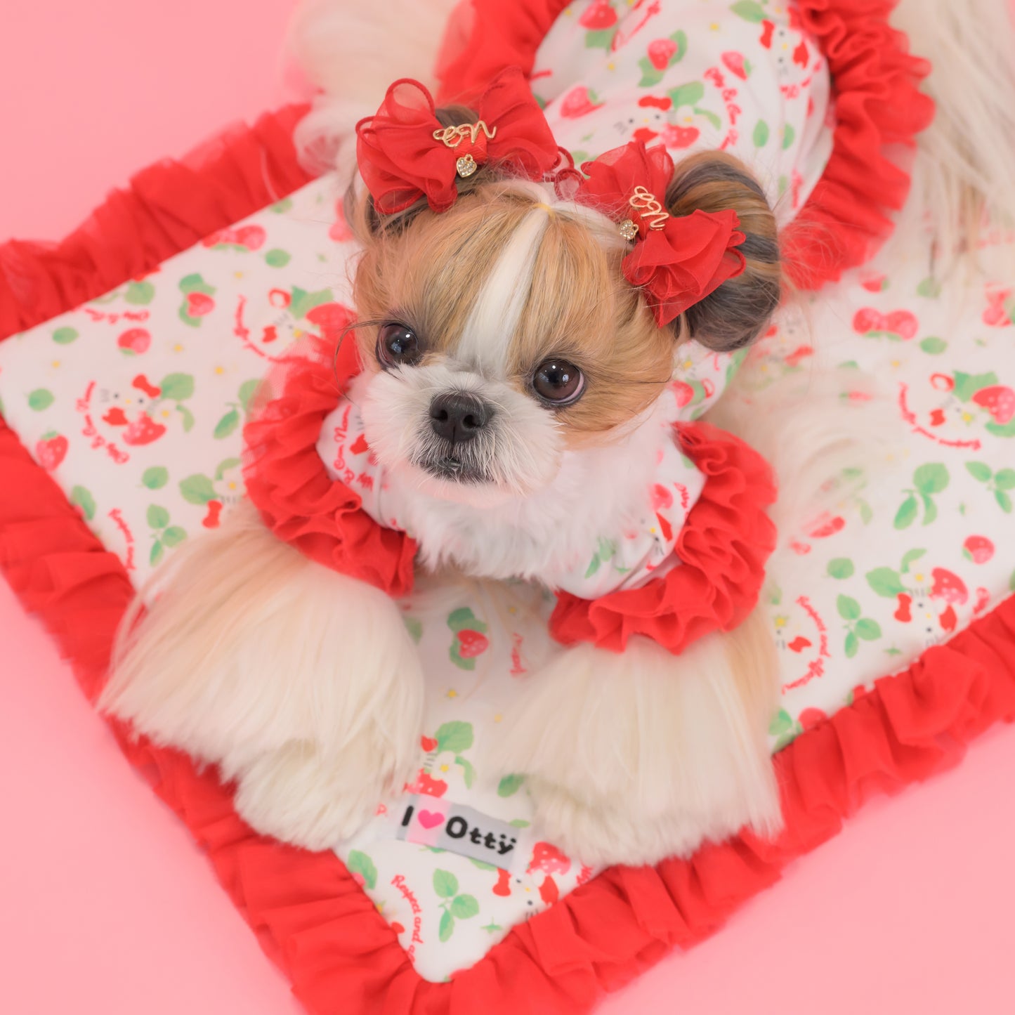 【送料無料】Otty20周年記念｜Otty × HELLO KITTY × CanNana カフェマット｜公式限定・CUUN掲載特典付き