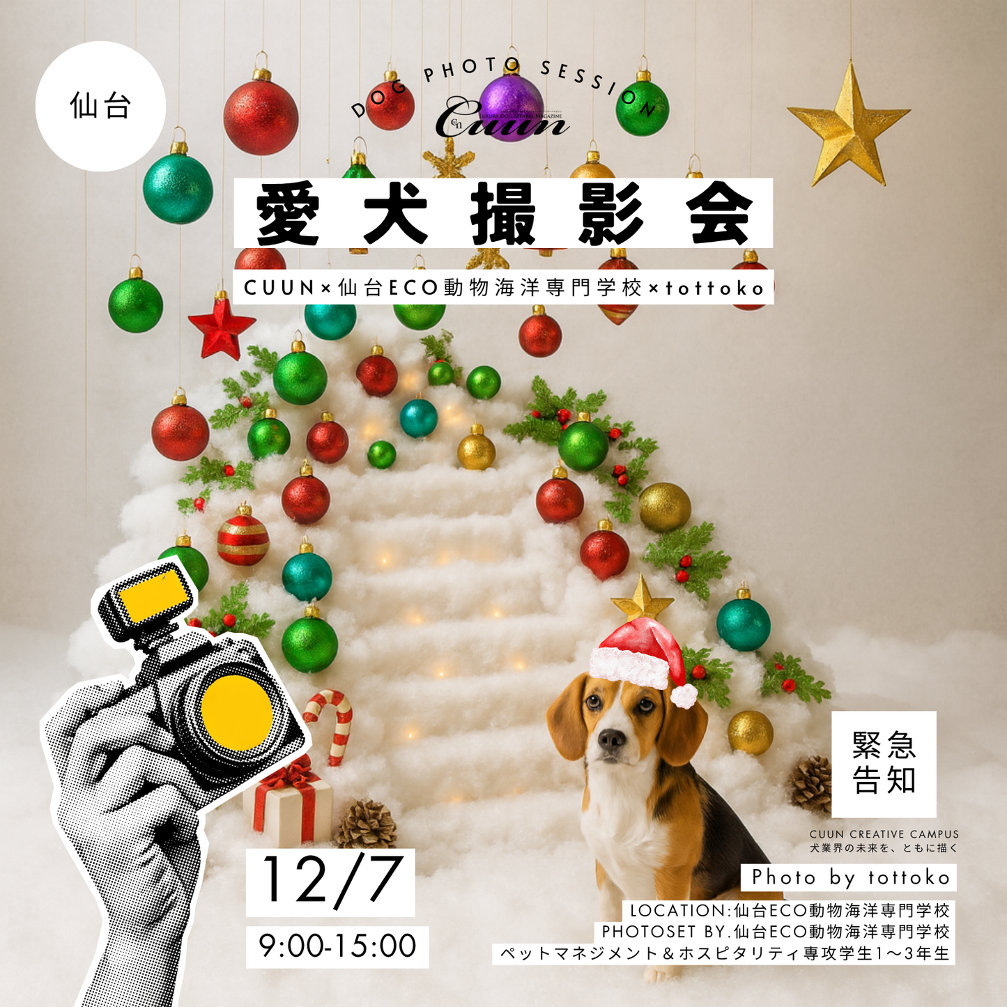 緊急開催決定！【仙台】CUUN×学生×tottoko クリスマス撮影会｜専門学生が創るクリスマスフォトセットで愛犬を撮影｜CUUN掲載付！