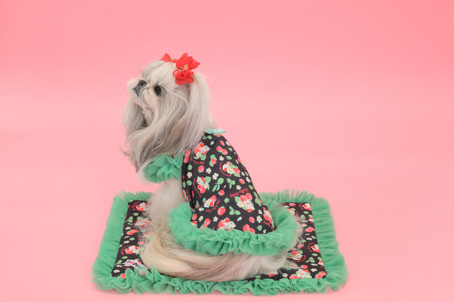 【送料無料】Otty20周年記念｜Otty × HELLO KITTY × CanNana カフェマット｜公式限定・CUUN掲載特典付き