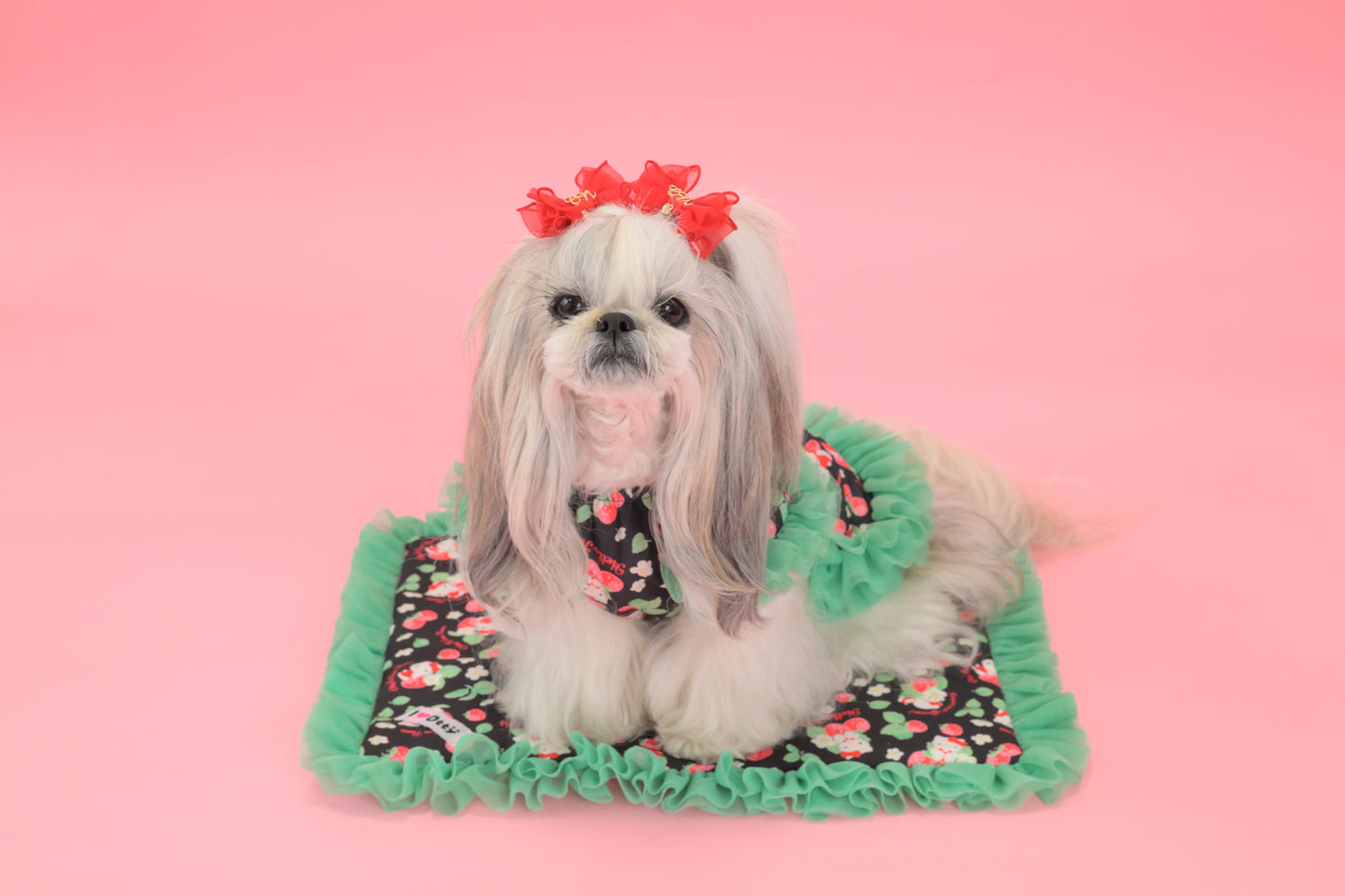 【送料無料】Otty20周年記念｜Otty × HELLO KITTY × CanNana カフェマット｜公式限定・CUUN掲載特典付き