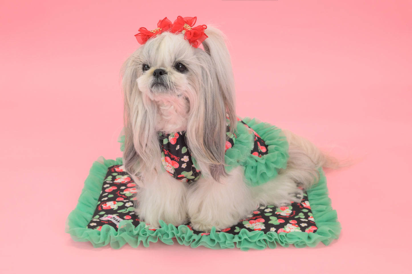 【送料無料】Otty20周年記念｜Otty × HELLO KITTY × CanNana カフェマット｜公式限定・CUUN掲載特典付き