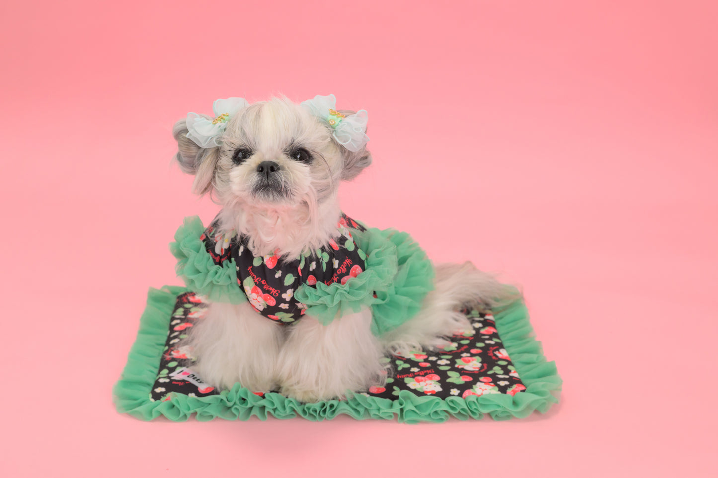 【送料無料】Otty20周年記念｜Otty × HELLO KITTY × CanNana カフェマット｜公式限定・CUUN掲載特典付き