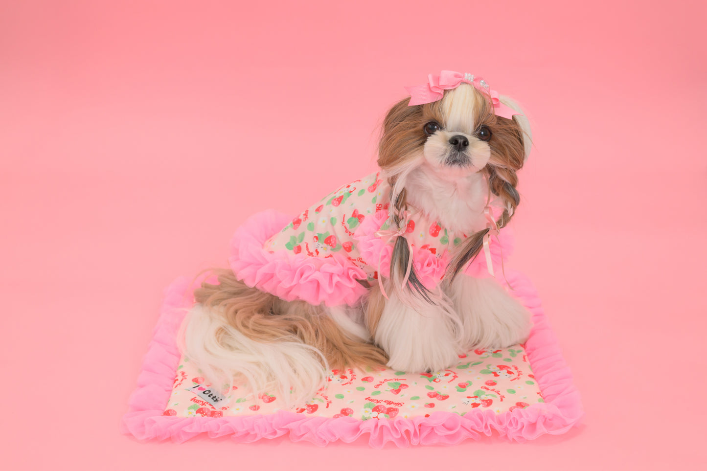 【送料無料】Otty20周年記念｜Otty × HELLO KITTY × CanNana カフェマット｜公式限定・CUUN掲載特典付き