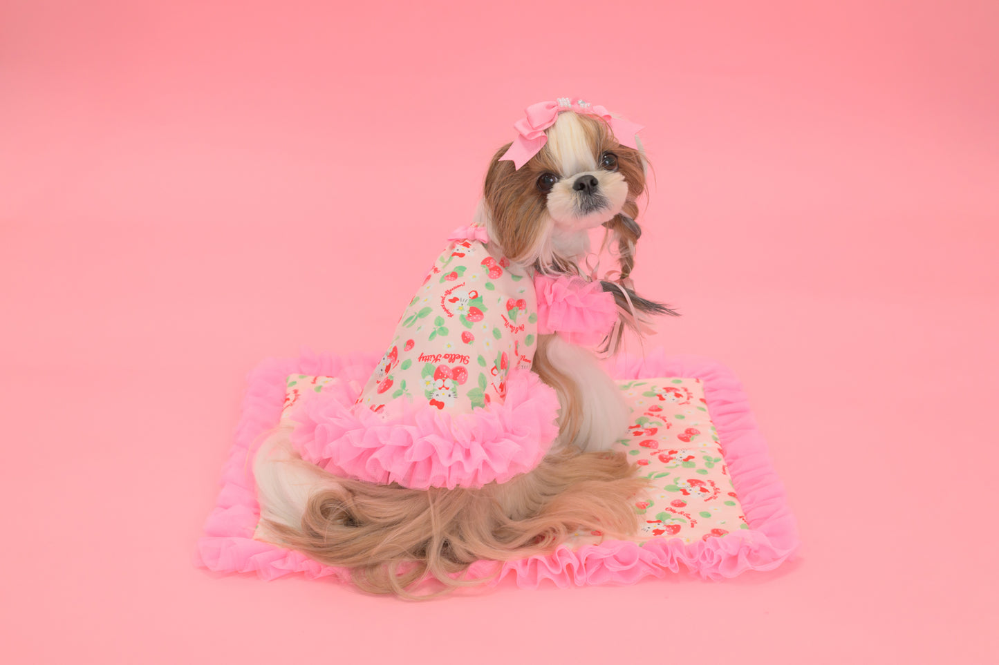 【送料無料】Otty20周年記念｜Otty × HELLO KITTY × CanNana カフェマット｜公式限定・CUUN掲載特典付き