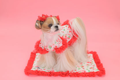 【送料無料】Otty20周年記念｜Otty × HELLO KITTY × CanNana カフェマット｜公式限定・CUUN掲載特典付き