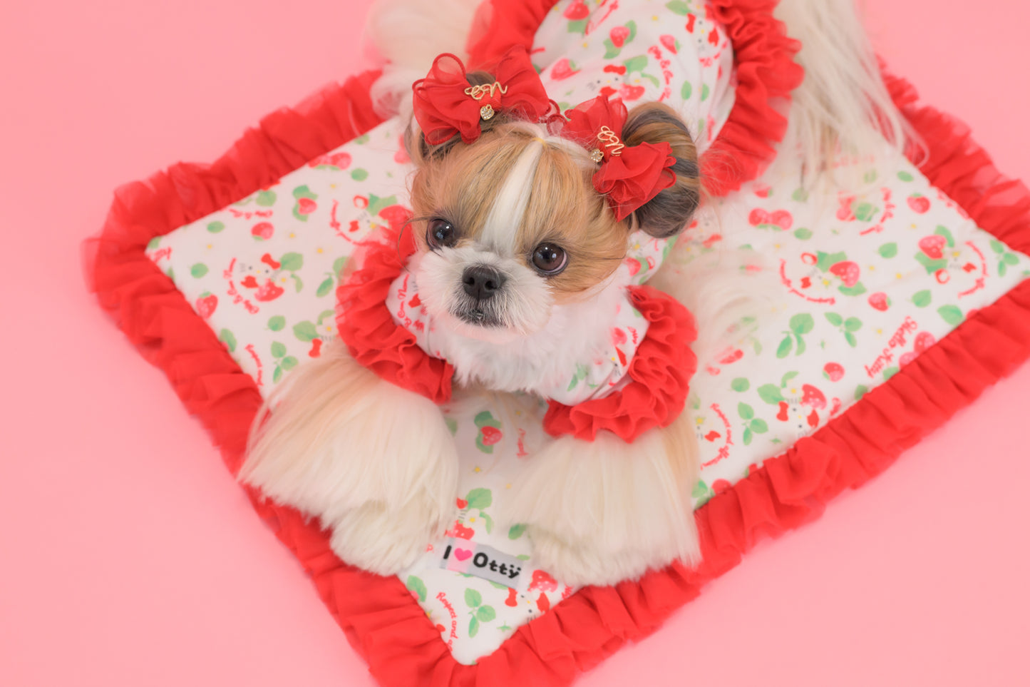 【送料無料】Otty20周年記念｜Otty × HELLO KITTY × CanNana カフェマット｜公式限定・CUUN掲載特典付き