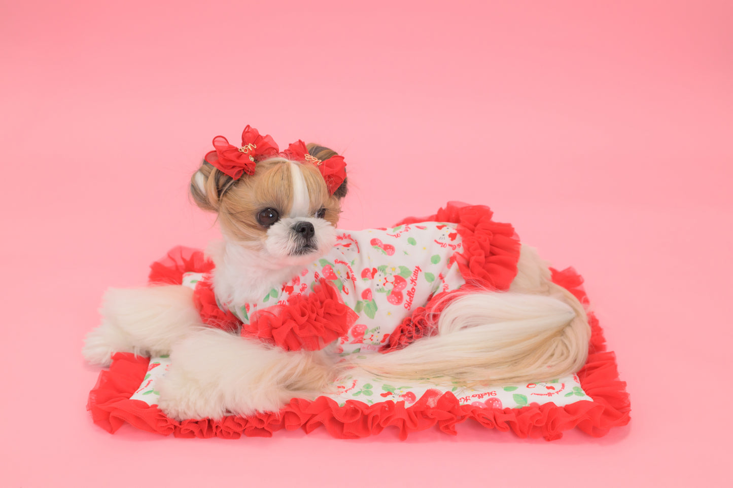 【送料無料】Otty20周年記念｜Otty × HELLO KITTY × CanNana カフェマット｜公式限定・CUUN掲載特典付き