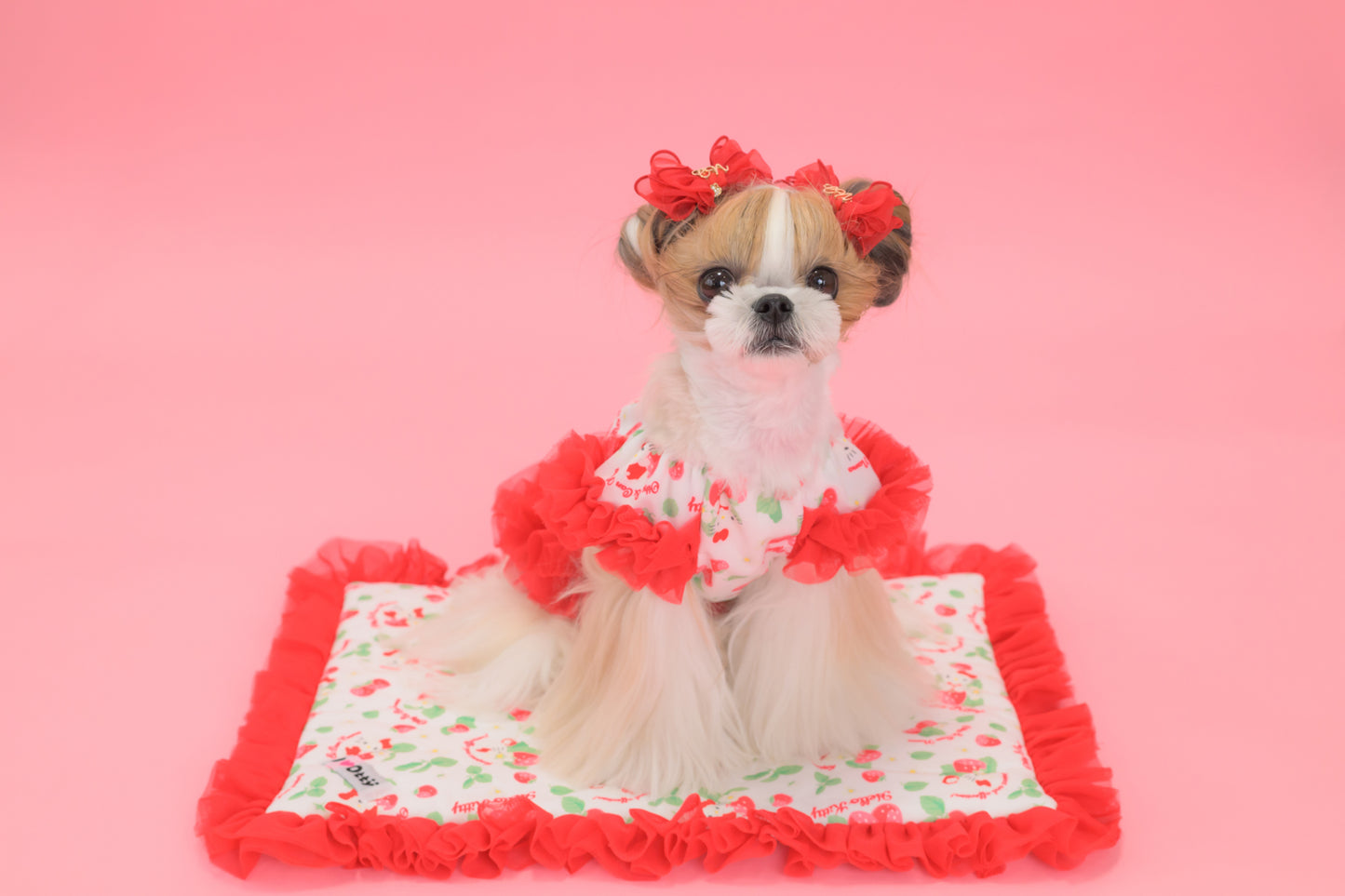 【送料無料】Otty20周年記念｜Otty × HELLO KITTY × CanNana カフェマット｜公式限定・CUUN掲載特典付き