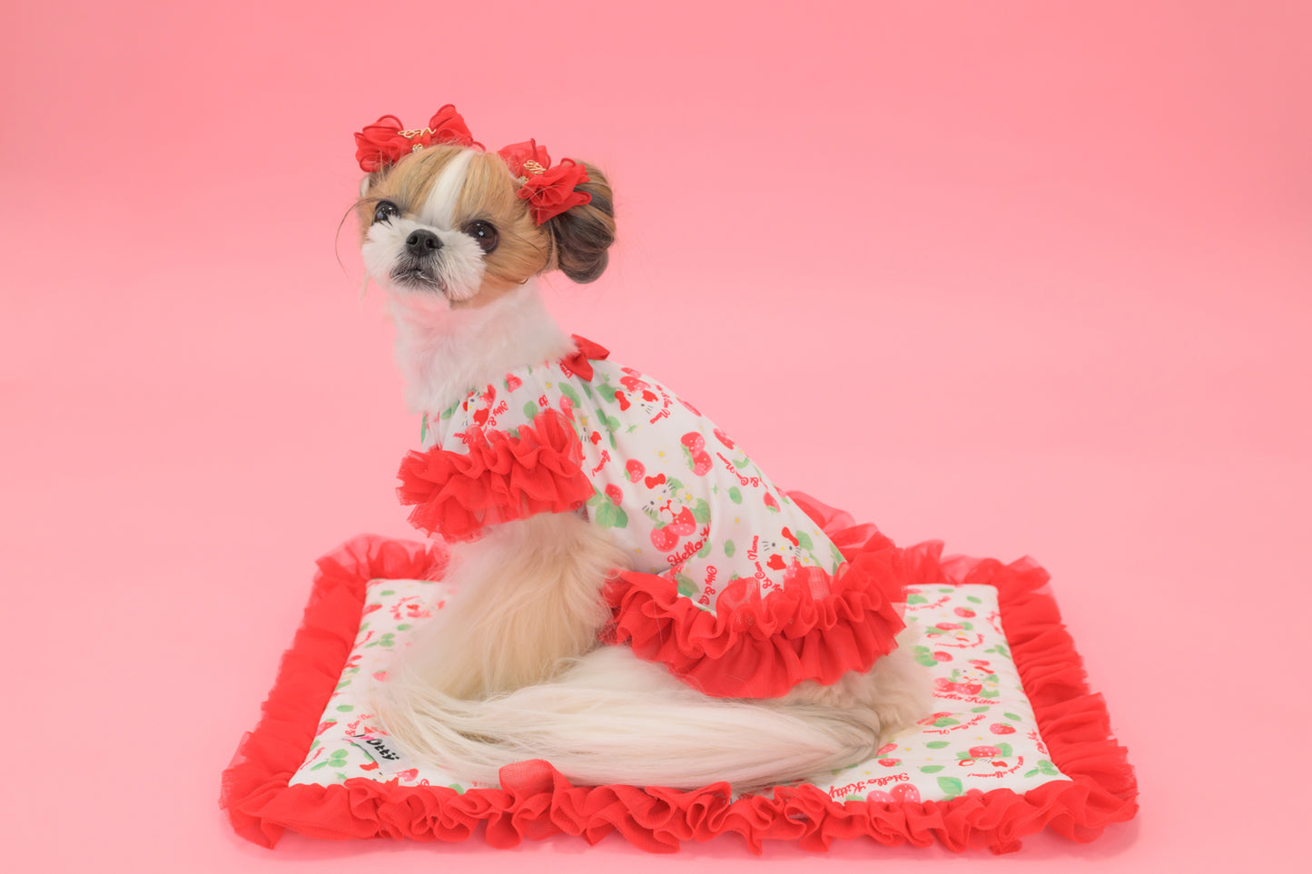 【送料無料】Otty20周年記念｜Otty × HELLO KITTY × CanNana カフェマット｜公式限定・CUUN掲載特典付き